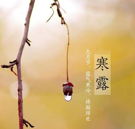 寒露至，秋意濃